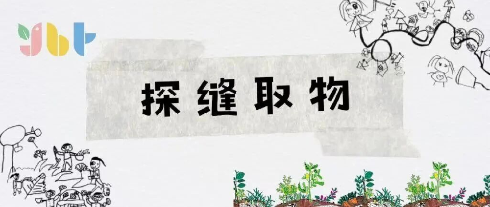【课程故事]探缝取物